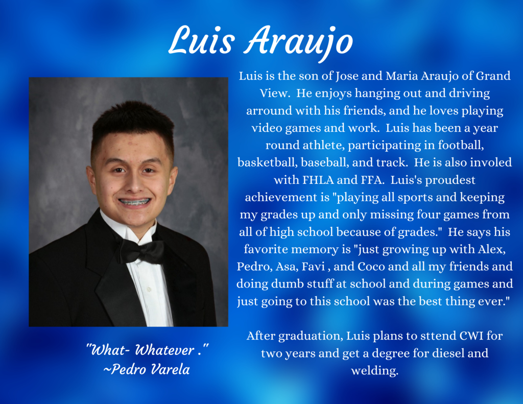Luis Araujo 1